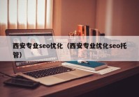 西安专业seo优化（西安专业优化seo托管）