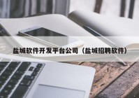 盐城软件开发平台公司（盐城招聘软件）