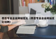 孝感专业企业网站优化（孝感专业企业网站优化招聘）