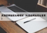 武清区网站优化哪家好（石家庄网站优化首页）