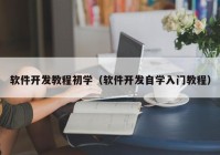 软件开发教程初学（软件开发自学入门教程）