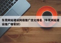 东莞网站建设网络推广优化排名（东莞网站建设推广哪家好）