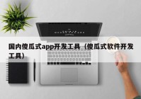 国内傻瓜式app开发工具（傻瓜式软件开发工具）