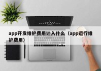 app开发维护费用计入什么（app运行维护费用）