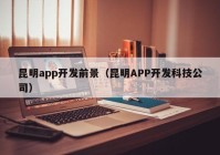 昆明app开发前景（昆明APP开发科技公司）