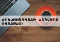 山东有口碑的软件开发品牌（山东有口碑的软件开发品牌公司）