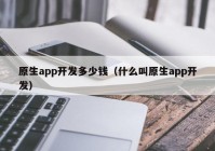 原生app开发多少钱（什么叫原生app开发）